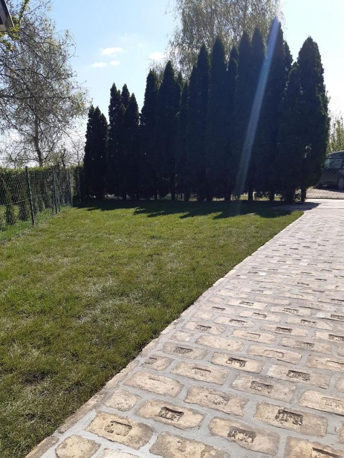 Palic Vila Masa Pr Emina Stipancevic Exterior foto